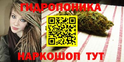 соль ск Гусев