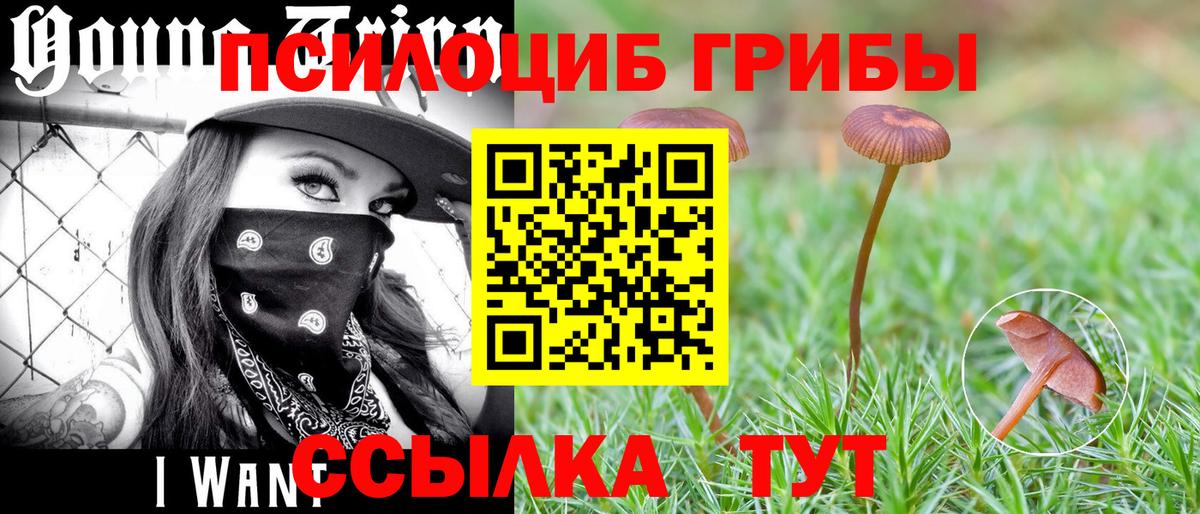 Галлюциногенные грибы ЛСД Нижнекамск