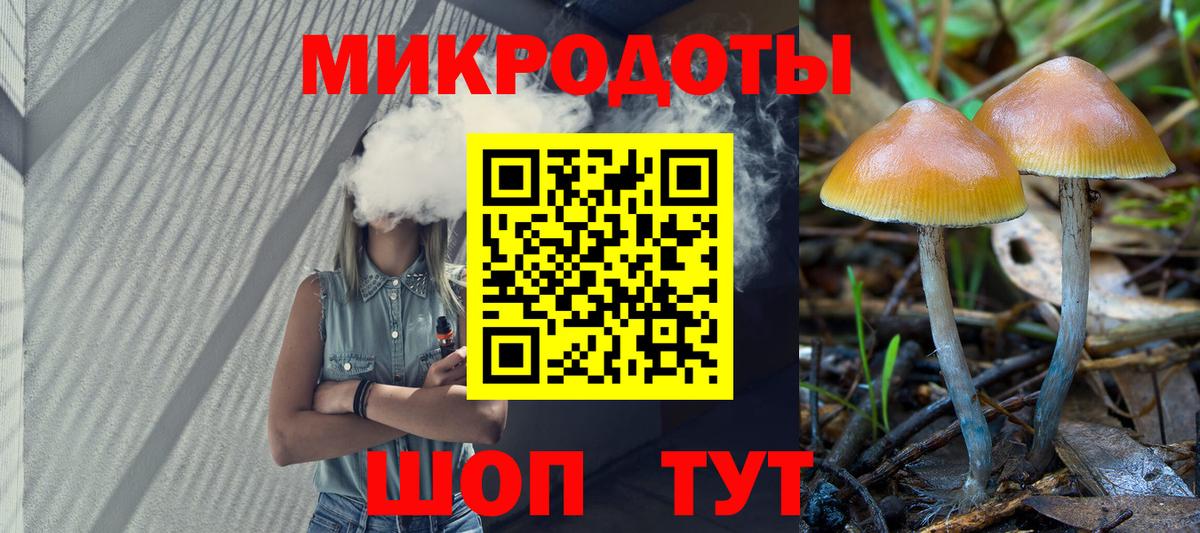 Нижнекамск  Псилоцибиновые грибы Psilocybine cubensis  Вход с VPN 